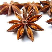 STAR ANISE STAR ANISE